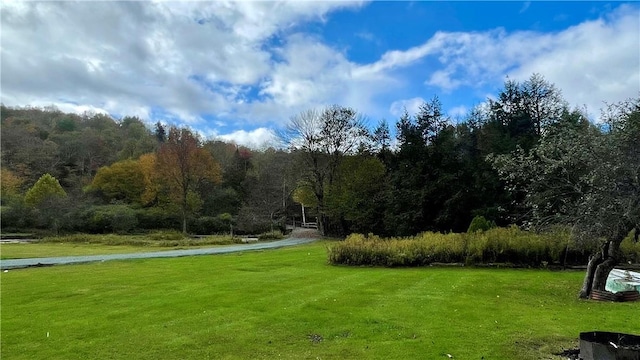 view of property's community featuring a lawn