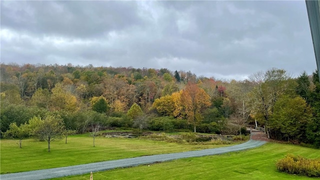 view of home's community with a lawn