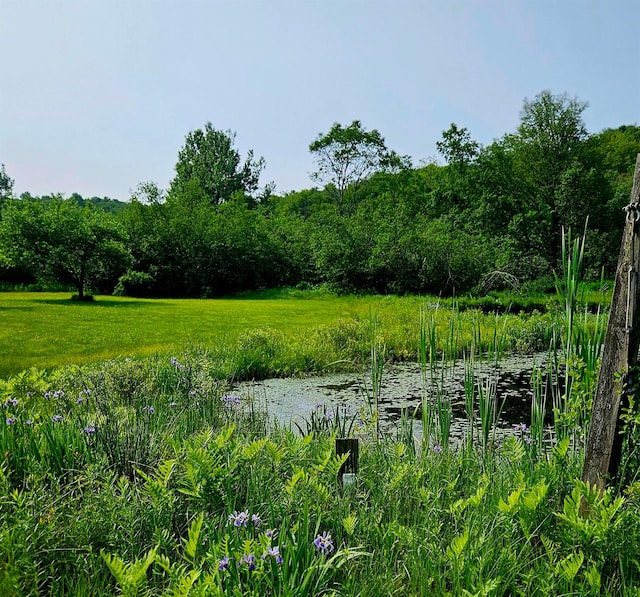 141 Bonnie Brook Rd, Roscoe, NY 12776 - view of nature