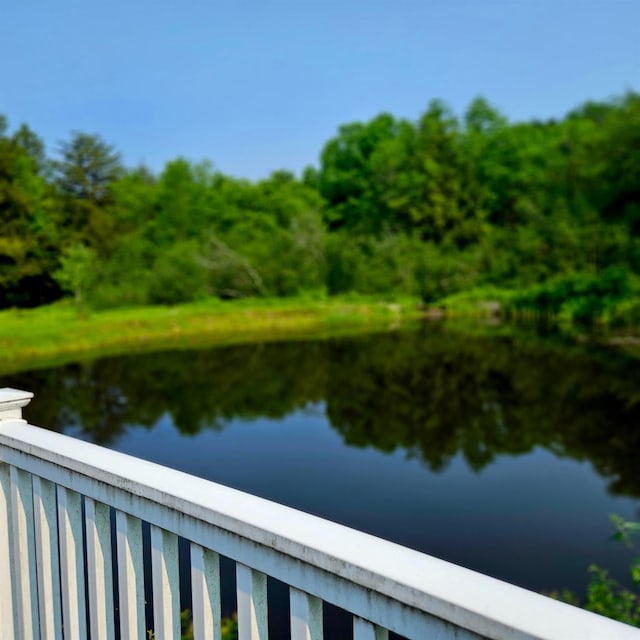 141 Bonnie Brook Rd, Roscoe, NY 12776 - water view