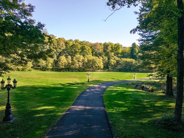 view of property's community with a lawn