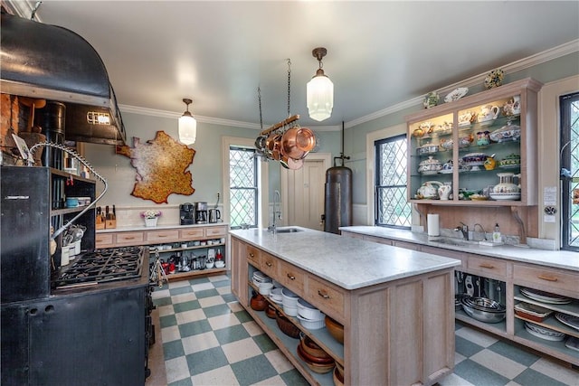 kitchen with sink, plenty of natural light, ornamental molding, and an island with sink