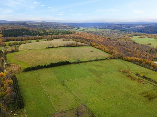 birds eye view of property with a rural view