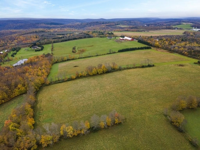 drone / aerial view featuring a rural view