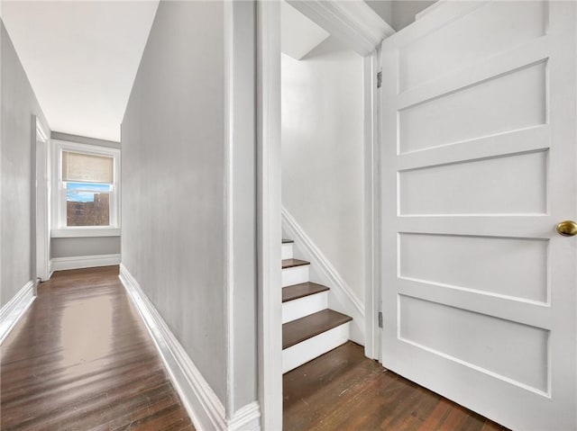 staircase with hardwood / wood-style flooring