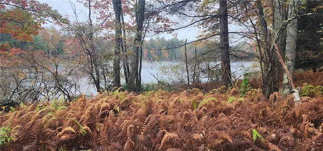 Mongaup Rd, Monticello, NY 12701 - photo 2