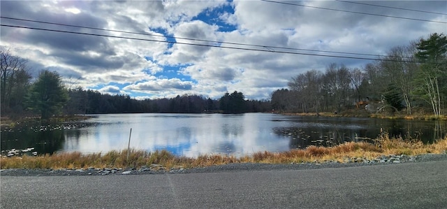 Mongaup Rd, Monticello, NY 12701