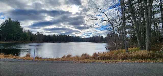 Mongaup Rd, Monticello, NY 12701