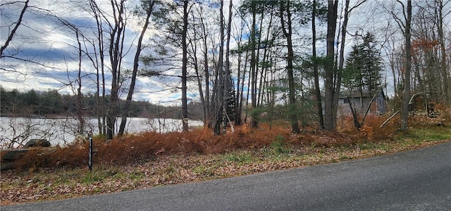 Mongaup Rd, Monticello, NY 12701 - photo 7