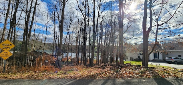Mongaup Rd, Monticello, NY 12701
