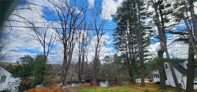 Mongaup Rd, Monticello, NY 12701 - photo 9