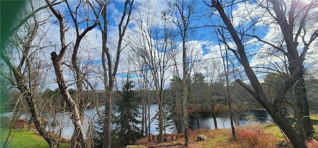 Mongaup Rd, Monticello, NY 12701 - photo 10