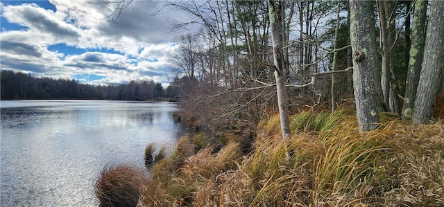 Mongaup Rd, Monticello, NY 12701 - photo 11