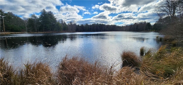 Mongaup Rd, Monticello, NY 12701