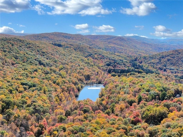 birds eye view of property featuring a water and mountain view