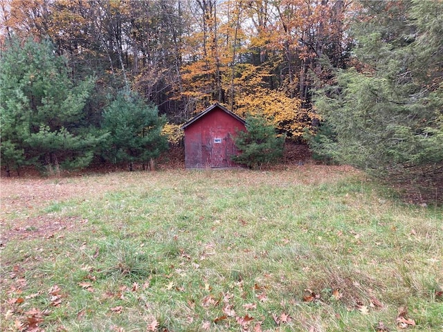 view of yard featuring a storage unit