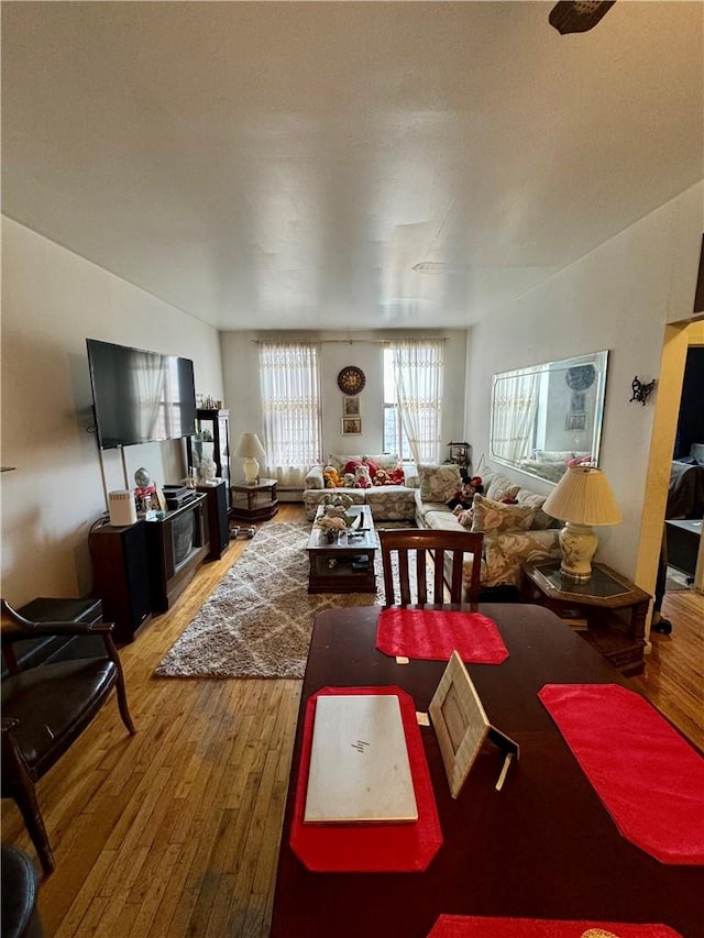 living room featuring wood-type flooring