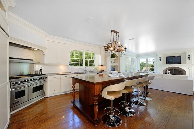 kitchen featuring a wealth of natural light, dark hardwood / wood-style flooring, and double oven range