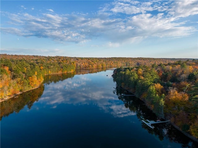 property view of water