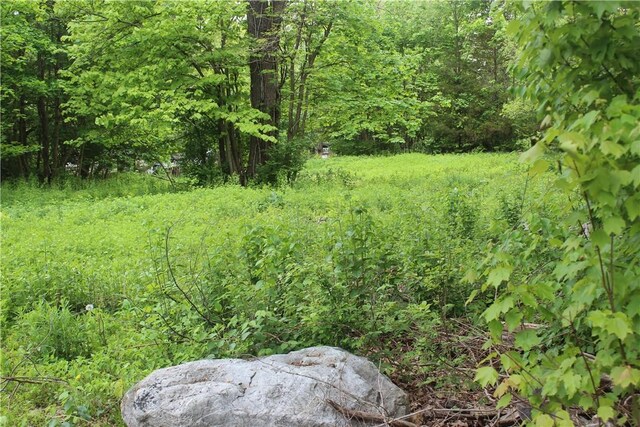Lakes Rd, Monroe, NY 10950 - photo 2