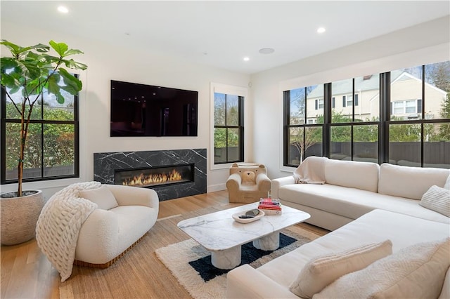 living room featuring a premium fireplace and light wood-type flooring