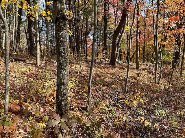 1 W Hill Rd, Austerlitz NY, 12017 land for sale