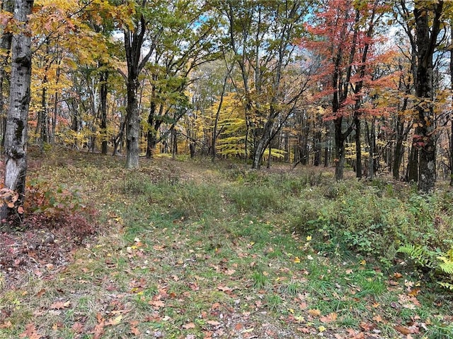 1 W Hill Rd, Austerlitz, NY 12017
