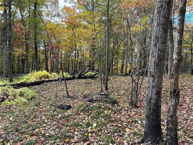 1 W Hill Rd, Austerlitz, NY 12017