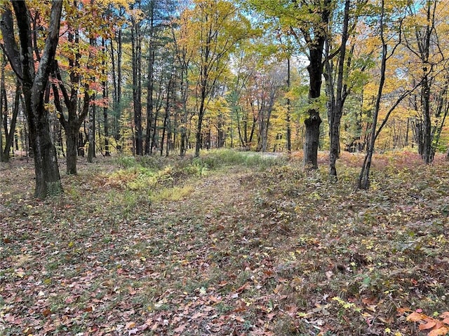 1 W Hill Rd, Austerlitz, NY 12017
