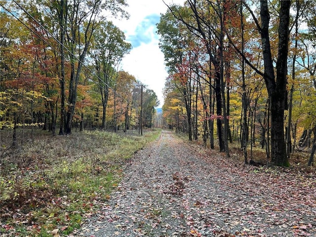 1 W Hill Rd, Austerlitz, NY 12017