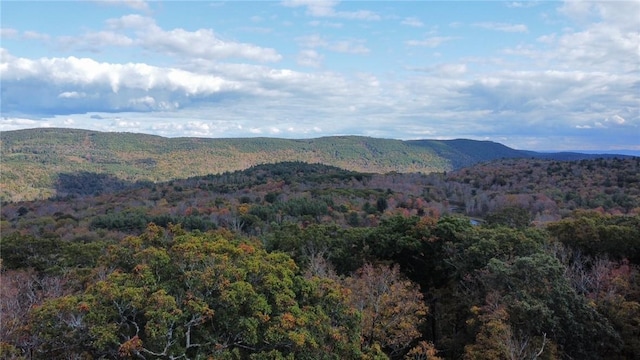 1 W Hill Rd, Austerlitz, NY 12017