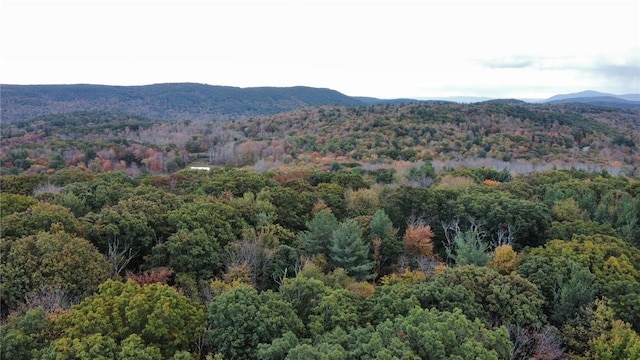 1 W Hill Rd, Austerlitz, NY 12017