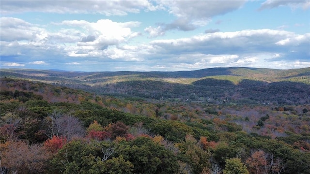 1 W Hill Rd, Austerlitz, NY 12017