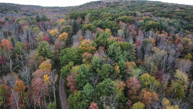 1 W Hill Rd, Austerlitz, NY 12017