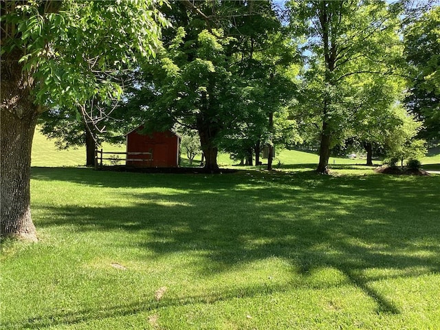 view of yard featuring an outdoor structure