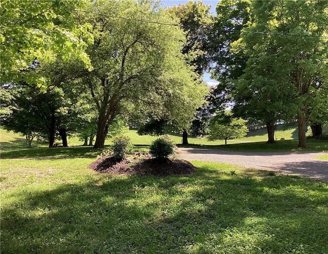 view of home's community with a yard