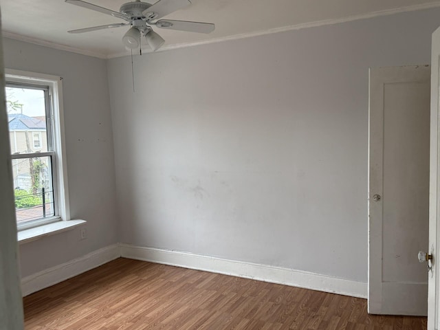 1246 Troy Ave, Brooklyn, NY 11203 - spare room with ornamental molding, wood finished floors, baseboards, and a ceiling fan