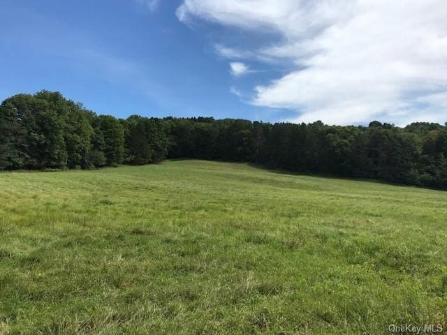 7 Mccolly Rd, Fremont NY, 12736 land for sale