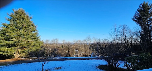 view of snow covered land