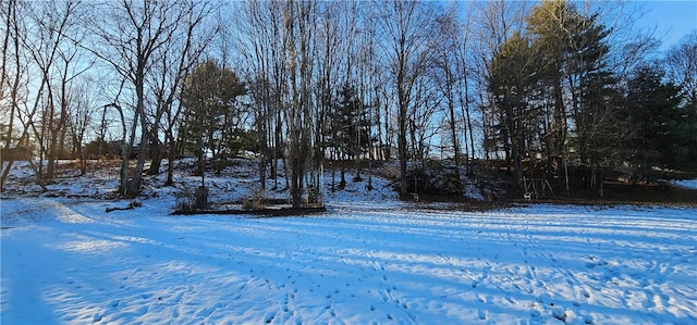 view of yard layered in snow