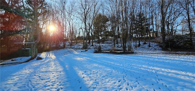 view of yard covered in snow