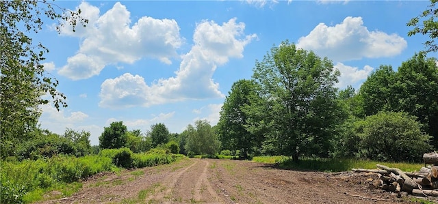 LOT81.4 County Road 114, Cochecton NY, 12726 land for sale