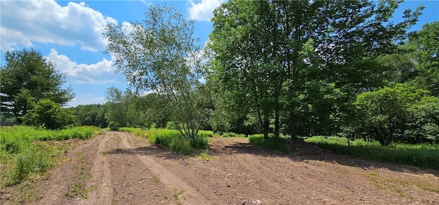 Listing photo 2 for LOT81.4 County Road 114, Cochecton NY 12726