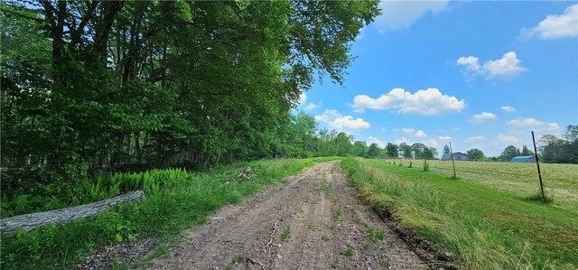 Listing photo 3 for LOT81.4 County Road 114, Cochecton NY 12726