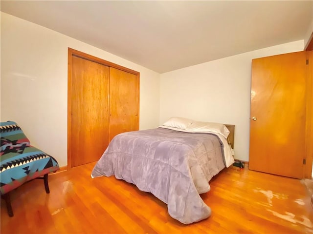 bedroom featuring a closet and hardwood / wood-style flooring