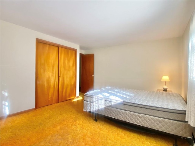 carpeted bedroom featuring a closet