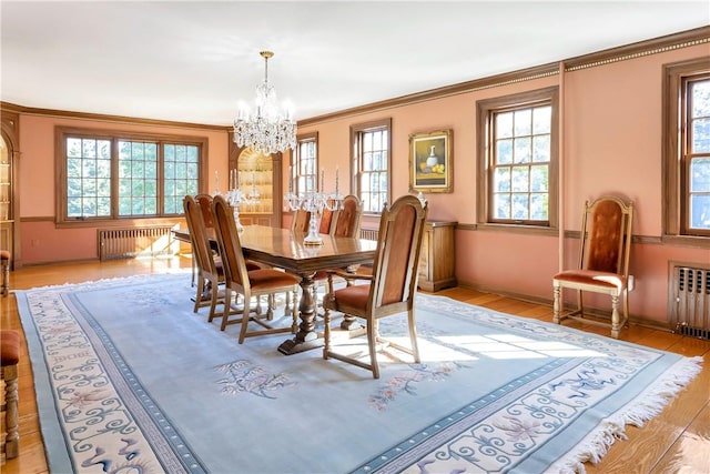 dining area with a healthy amount of sunlight and radiator heating unit