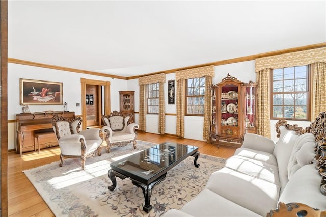 living room featuring light hardwood / wood-style floors, plenty of natural light, and ornamental molding