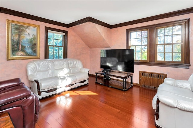 living room featuring hardwood / wood-style floors, a healthy amount of sunlight, and radiator