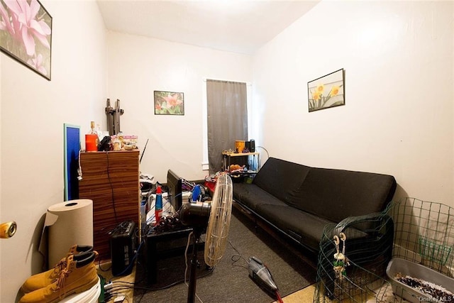 living area with carpet flooring